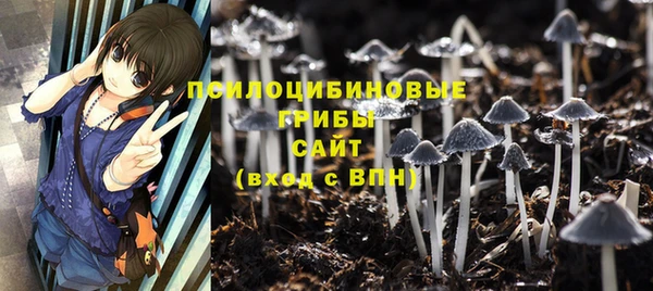 ешки Балахна