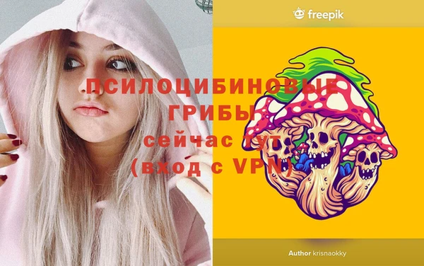 бутират Баксан