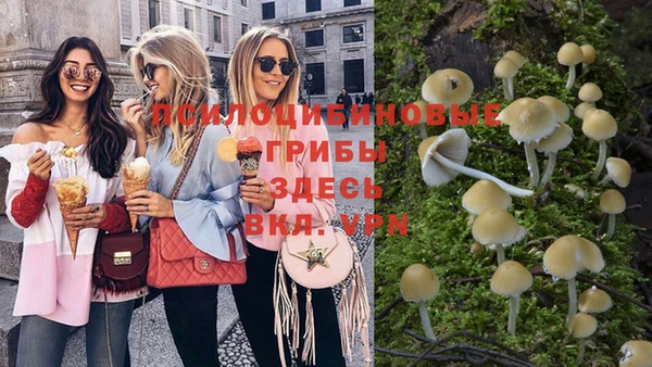 бутират Баксан