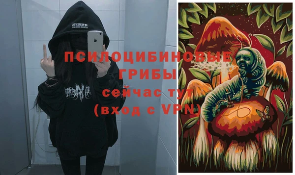 ешки Балахна